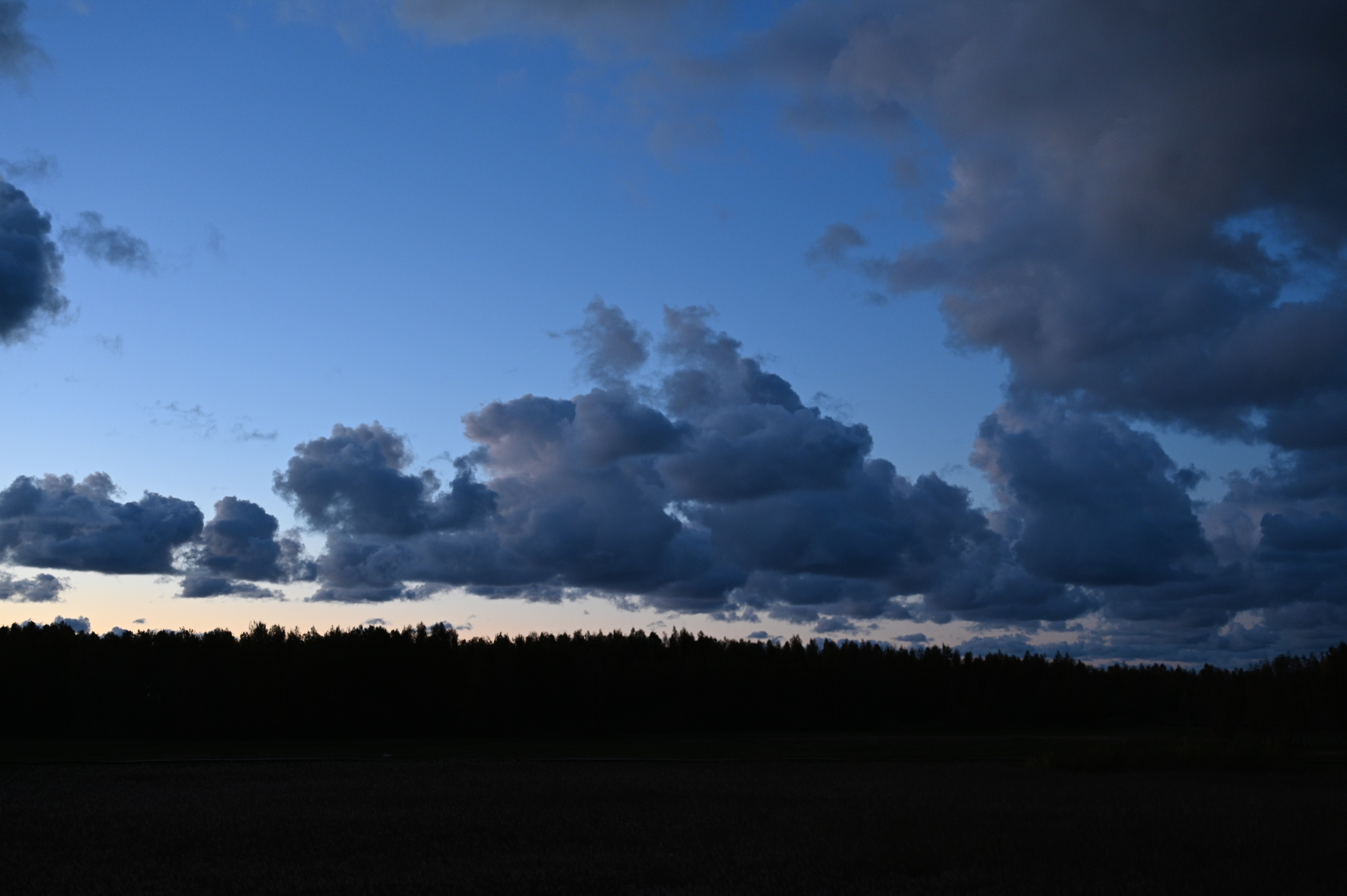 2025/10/18 - walk/DSC_0631.JPG